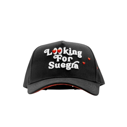DANDY HATS "LOOKING FOR SUEGRA"