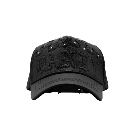 DANDY HATS - WHAT WOULD DANDY DO? "DANDY DID THIS"